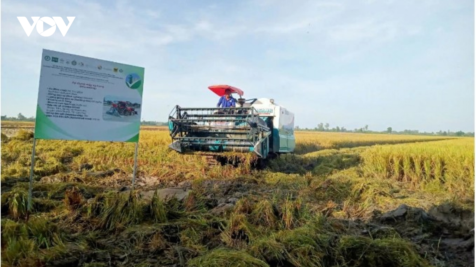 Japan's role in driving digital and green transformation in Mekong Delta